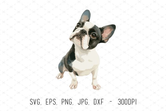 Boston Terrier Puppy Cute Dog Clipart: A Design Asset with Personality