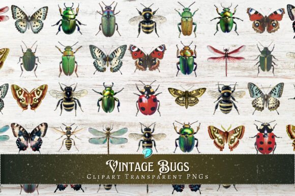 Charming Vintage Bugs Clipart for Nature-Inspired Projects