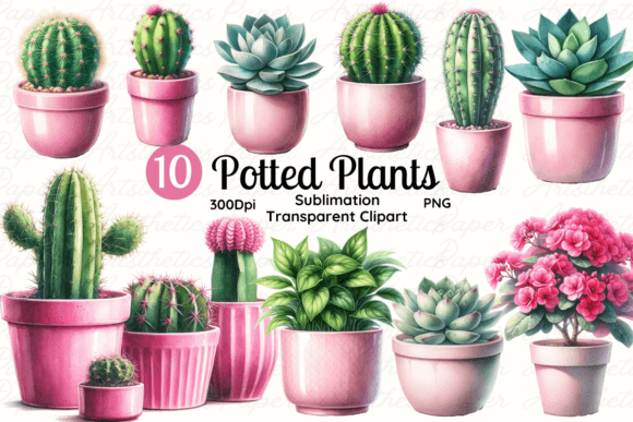 Potted Plant, Succulent & Cactus Clipart: Your Botanical Design Toolkit